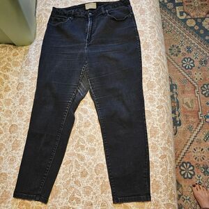 Everlane Dark Wash Skinny Jeans